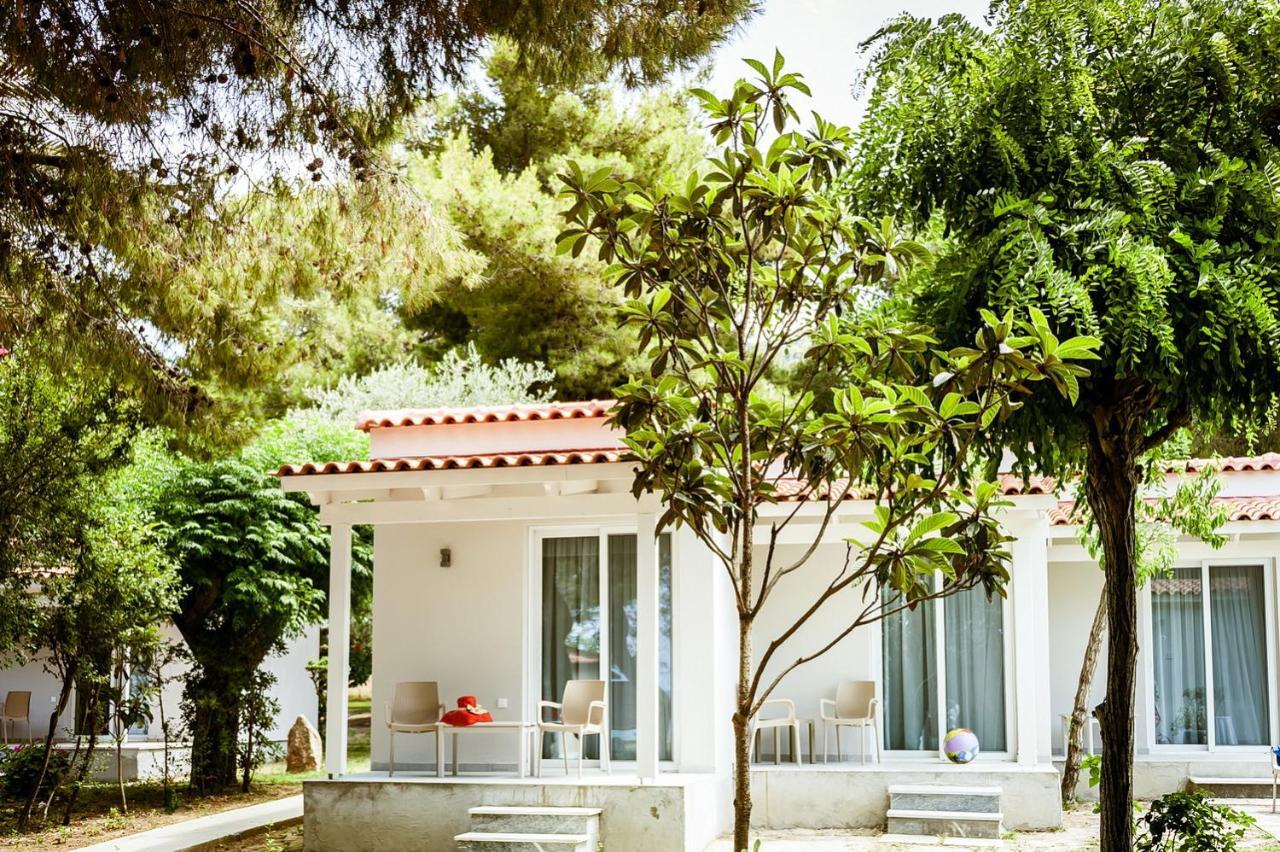 Mimoza Hotel 4*